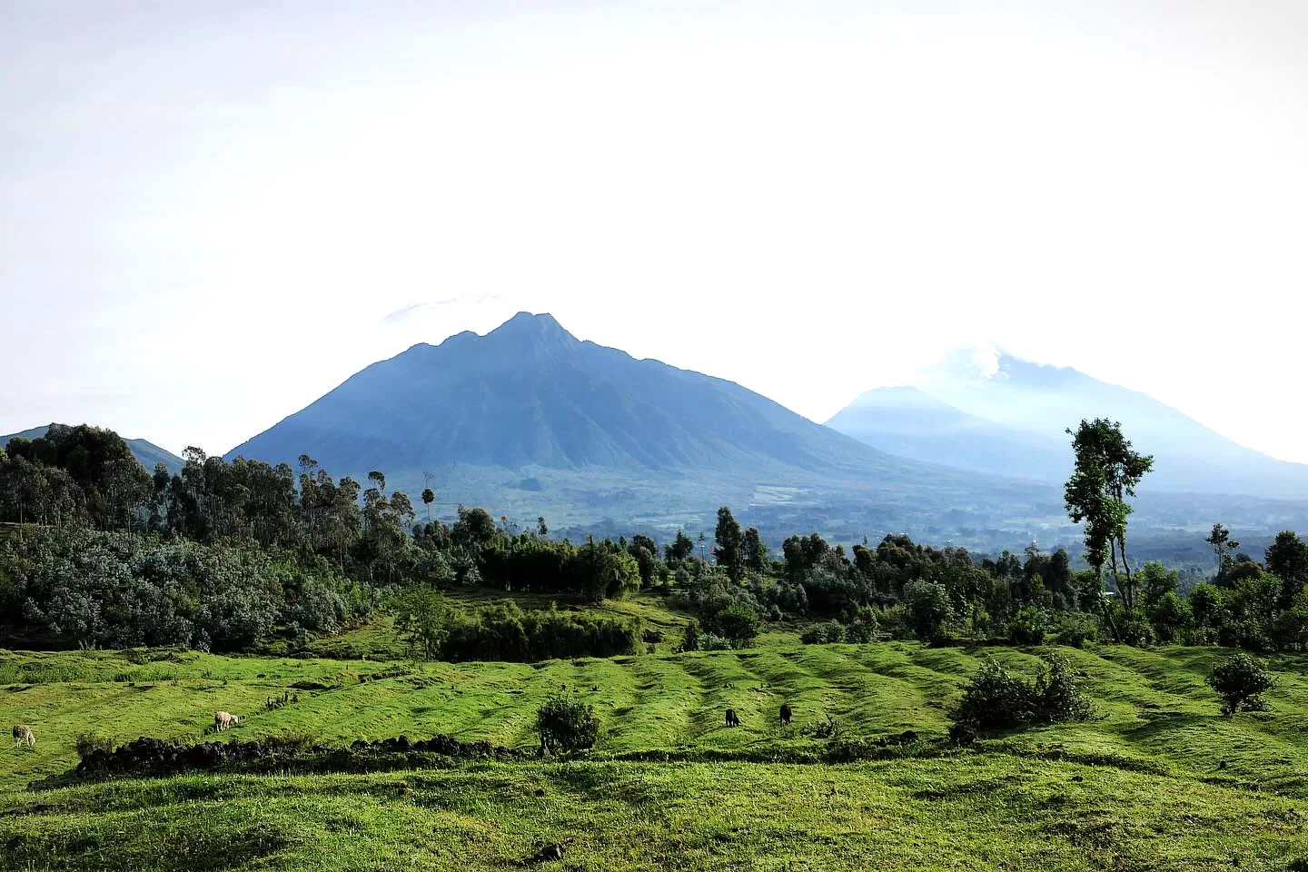 Volcanoes National Park