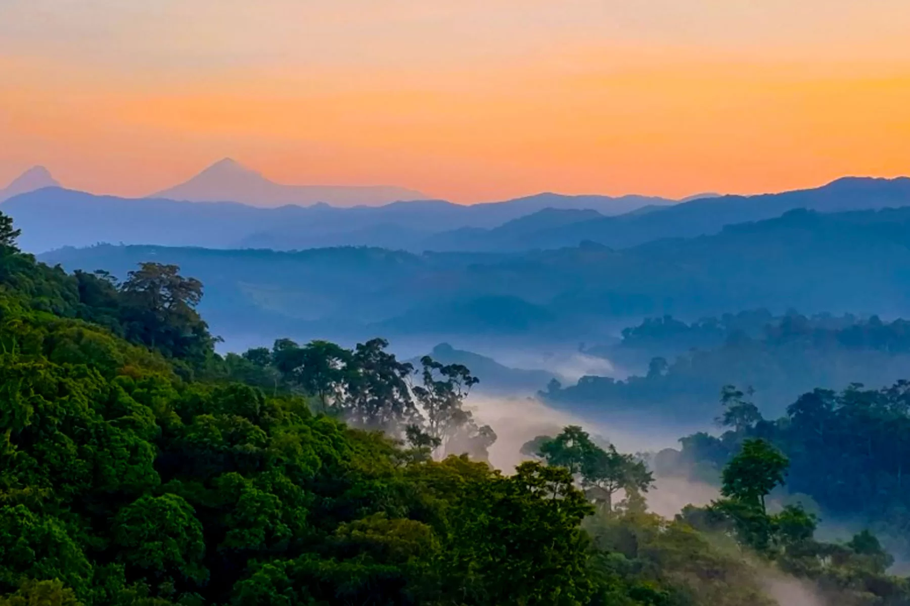 gishwati-mukura-national-park