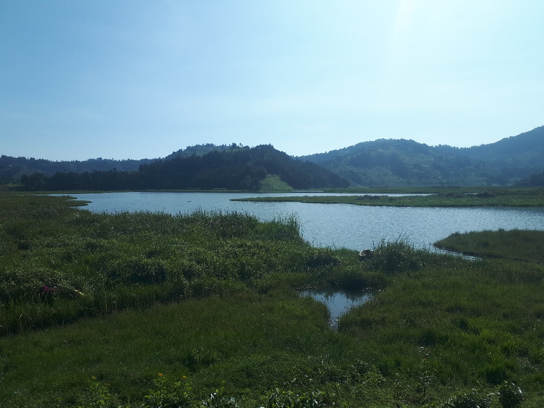 Bihinga Wetland Rwanda
