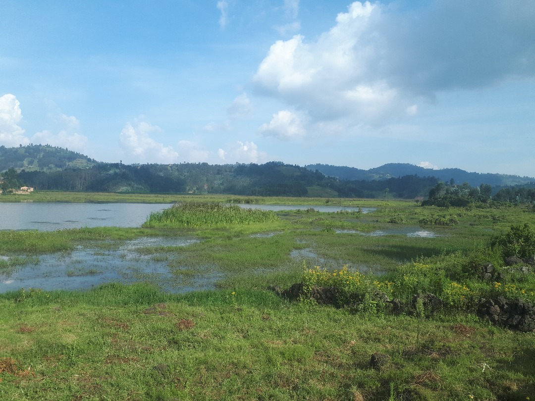 Bihinga Wetland Rwanda