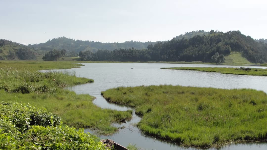 Local guide Bihinga Musanze