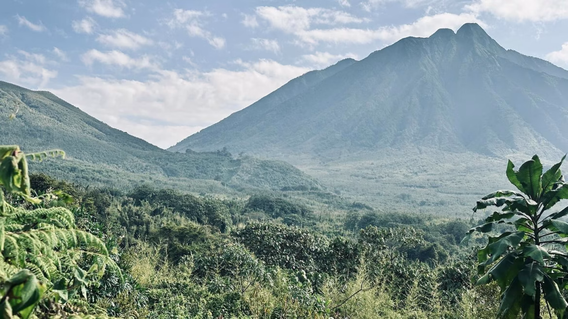 7 Biggest Travel Mistakes to Avoid on Your Rwanda Trip 7 Biggest Travel Mistakes to Avoid on Your Rwanda Trip