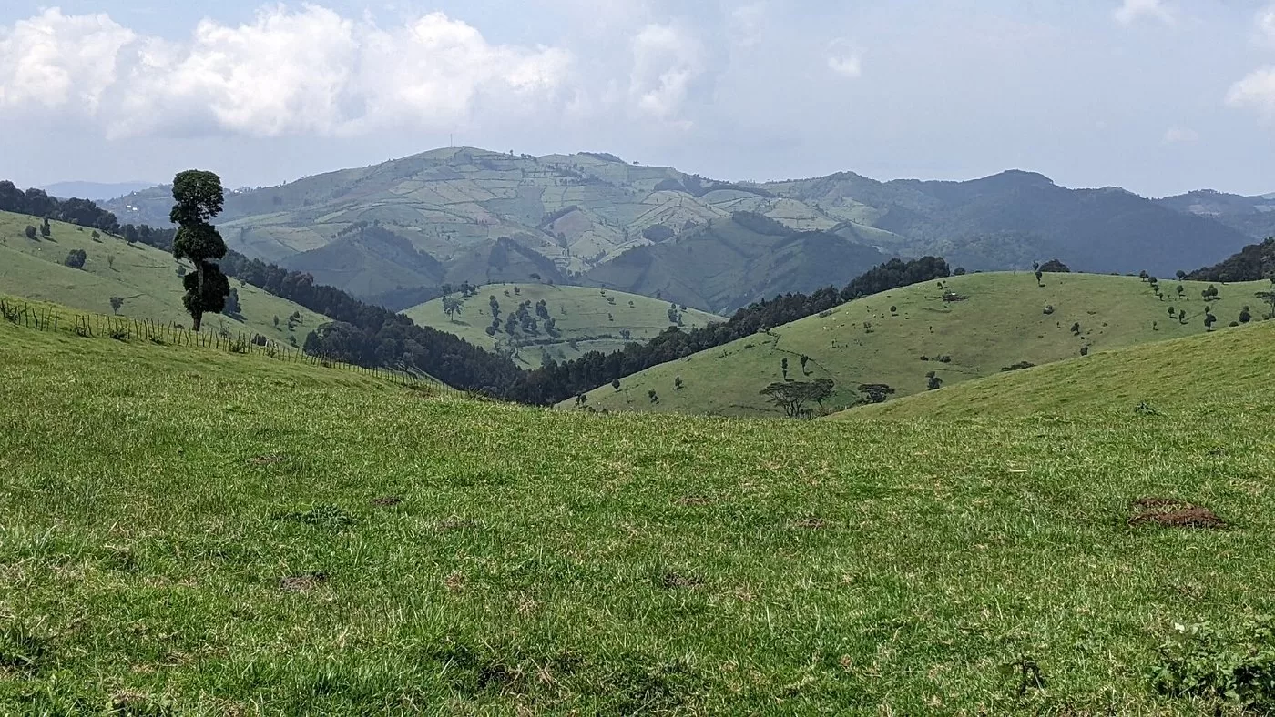 gishwati-mukura-national